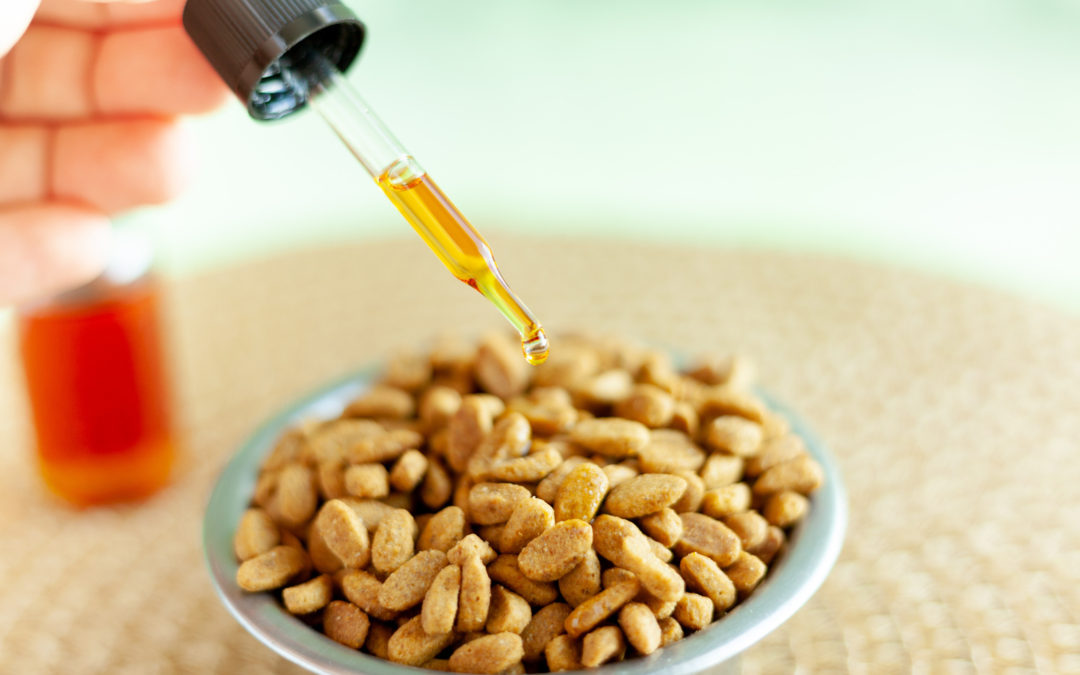 A Healthy Dose of CBD